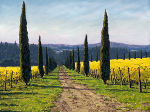 Alloro Vineyard
