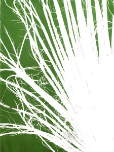 Palm Frond Diptych Part 2