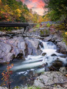 Autumn Sink