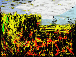 Cornfield landscape E