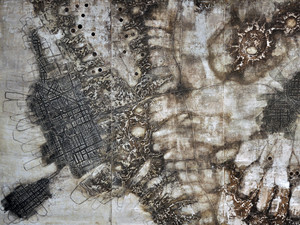Fossil Record 1