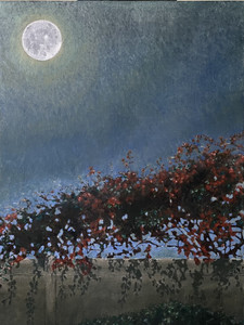 Bougainvillea under a full moon