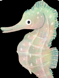 Pastel Seahorse