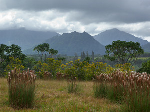 Kauaian Volcano