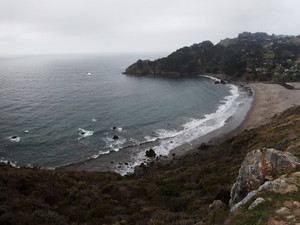 Muir Beach​