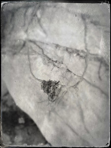 Cycles 1