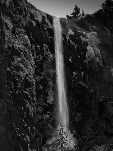 Bridal Veil Falls Forest View
