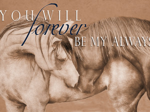 Forever Always (with text)