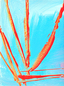 Bird of Paradise​​​​​