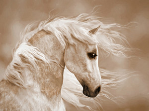 Horse Head (in sepia tones)