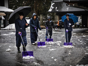 Conformity in the Snow