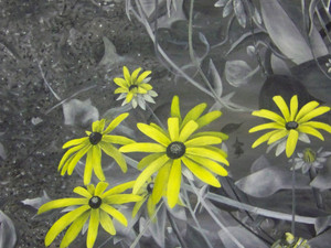 Le' Daisy