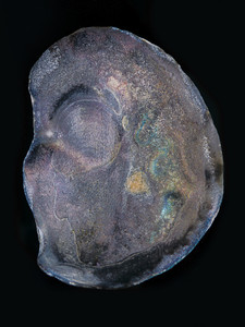 Shell 2