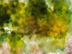 Abstract 0538