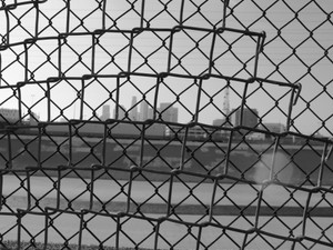 Fence View​