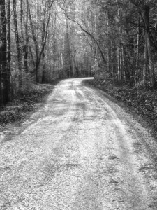 Whats Around The Bend