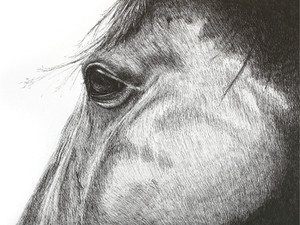 Window to the Soul​
