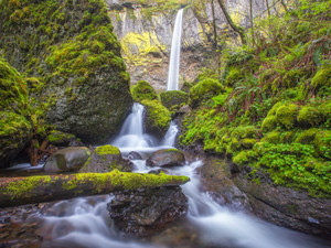 Elowah Falls