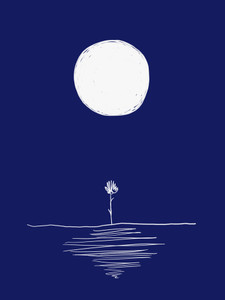 Reflection​​​​​​​​​​​​​​​​​​​