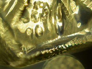 igp9033a