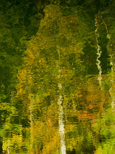 Water color fall tree