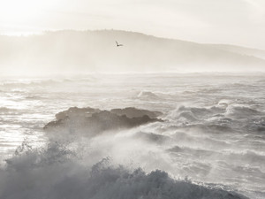 COASTING​
