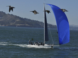 Pelican Weather Vanes
