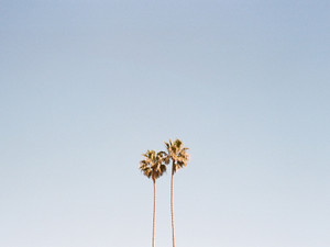 Golden State