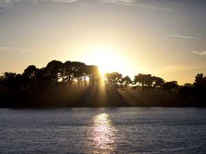 Sunset Trees and Water