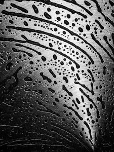 Suds on Stainless 06