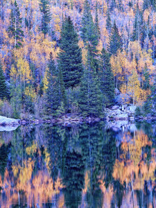 Autumn Shoreline