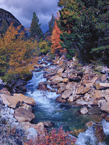 Autumn on Chalk Creek