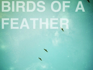Birds Of A Feather​