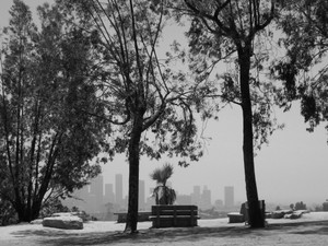 Elysian Park​