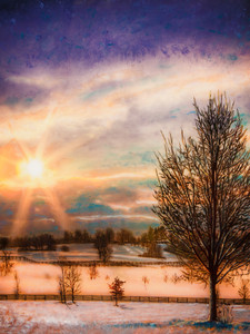 Snow On The Bluegrass