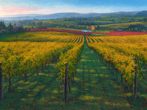 Wine Country​​​