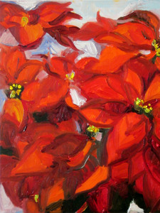 Poinsettia One