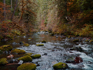 Big Quilcene River II