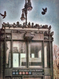 Columbus Circle Commuters_Pigeons subway