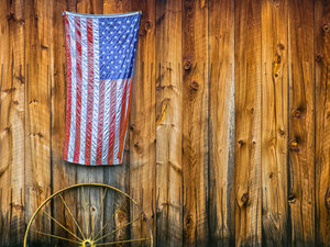 "Americana II"
