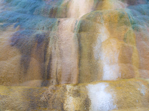 "Abstract VII"