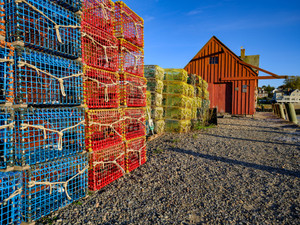 A lone seagull on a chimney keeps guard over the empty lobster traps in late afternoon at Rockport Massachusetts