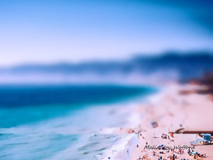 Malibu Dream State