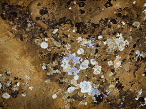 Klimpt's Palette