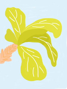 Fiddle Leaf Fig Illustration