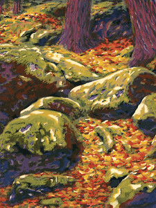 Rocks and Moss