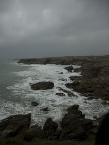The Savage Coast