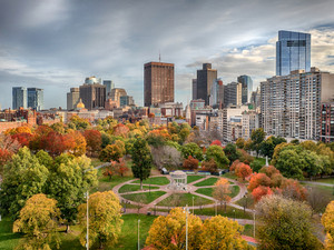 Boston Common Foliage