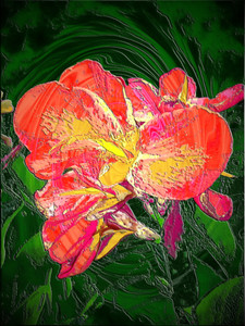 Orange Passion
