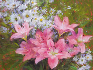 Pink lilies and dazies